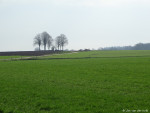 Mageleresch